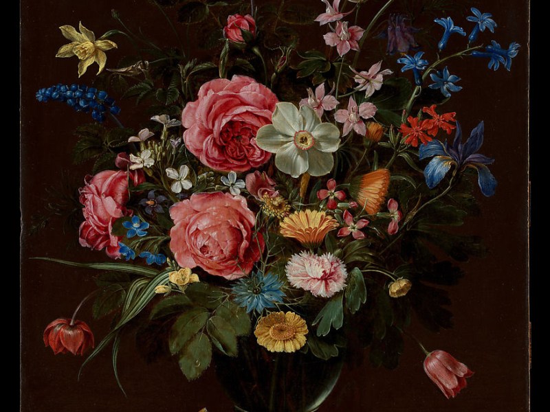 Entrepreneur meets Education: Meet Nikki&nbsp;James